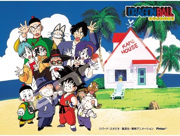 『カメハウス(集合)』の商品画像