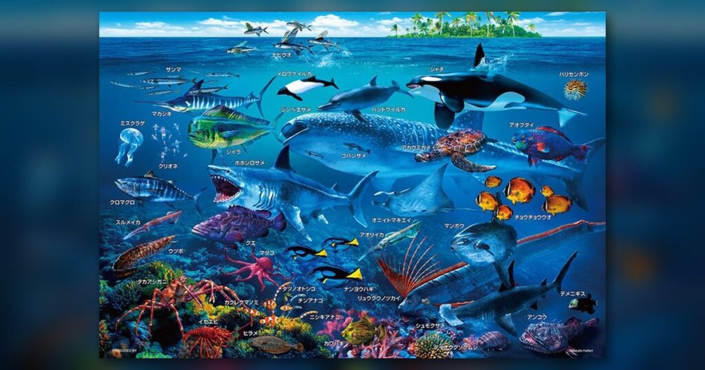 『海の生物おぼえちゃおう！』100ピース（ビバリー）