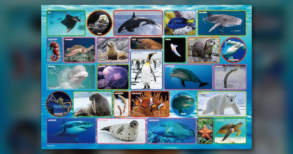『水族館』の絵柄