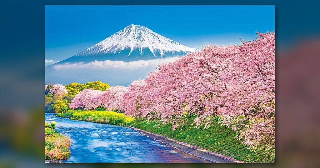 『富士と潤井川の桜並木』300ピース（ビバリー）