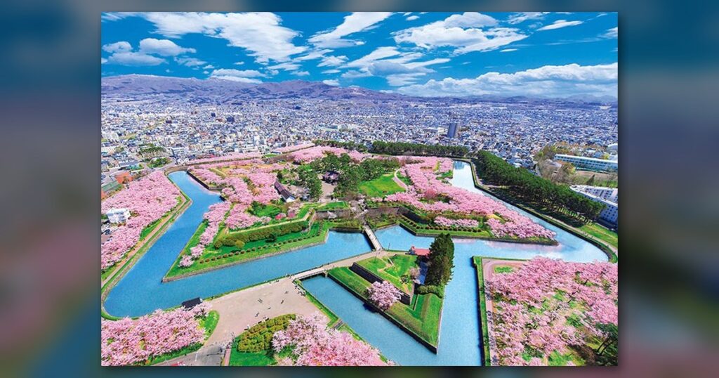 『桜彩る五稜郭』300ピース（ビバリー）