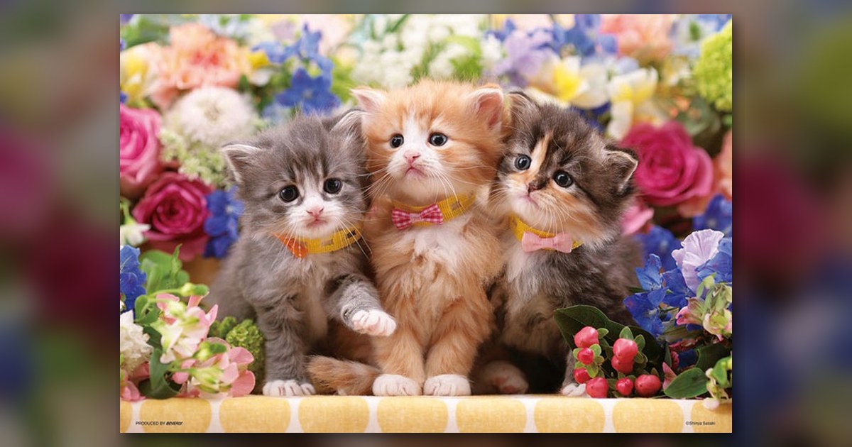 『仔猫たちの花時間』の絵柄