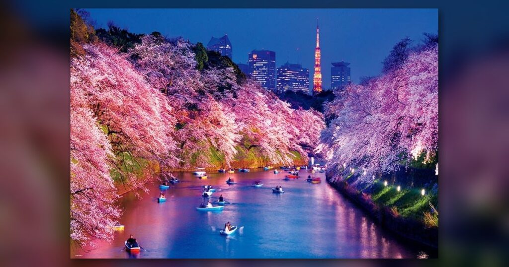 『千鳥ヶ淵の夜桜（東京）』1000ピース（ビバリー）