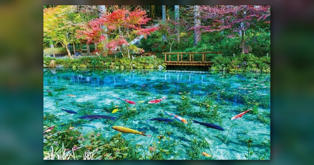『色彩輝くモネの池』1000ピース（ビバリー）