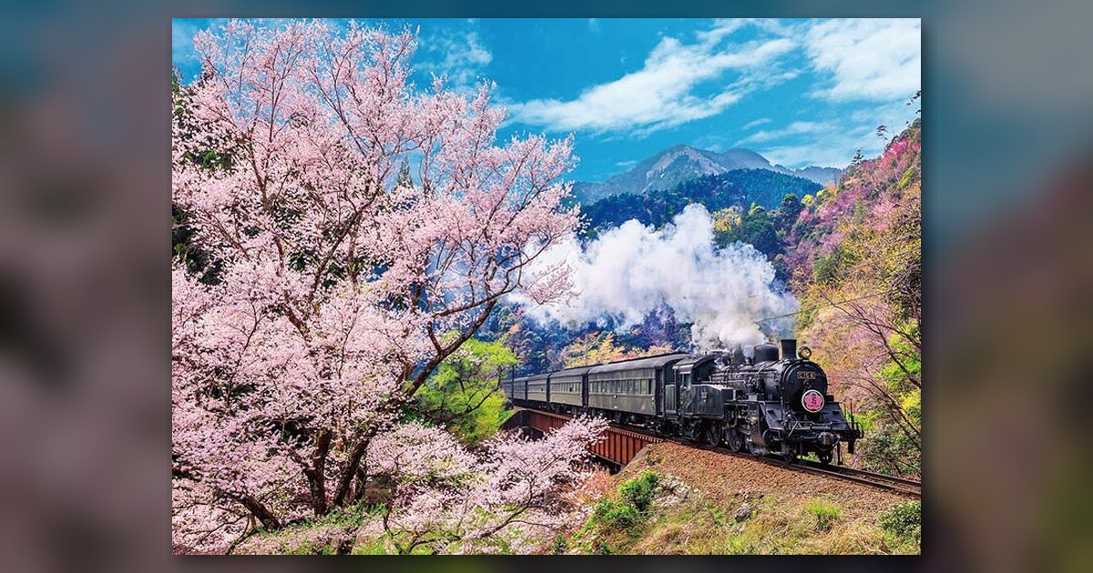 『大井川鐡道と桜』の絵柄