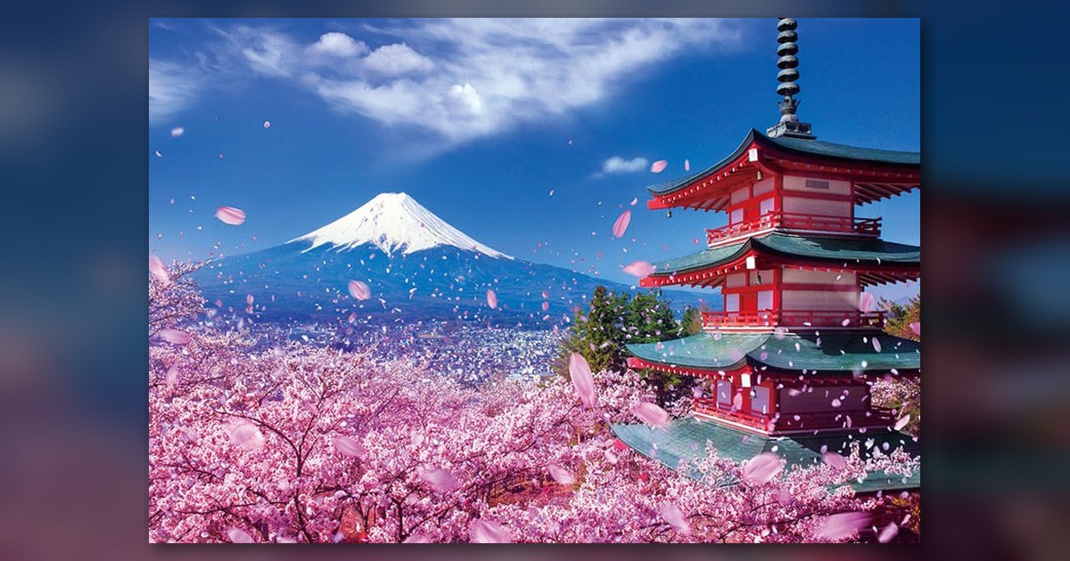 『富士と桜舞う浅間神社』の絵柄