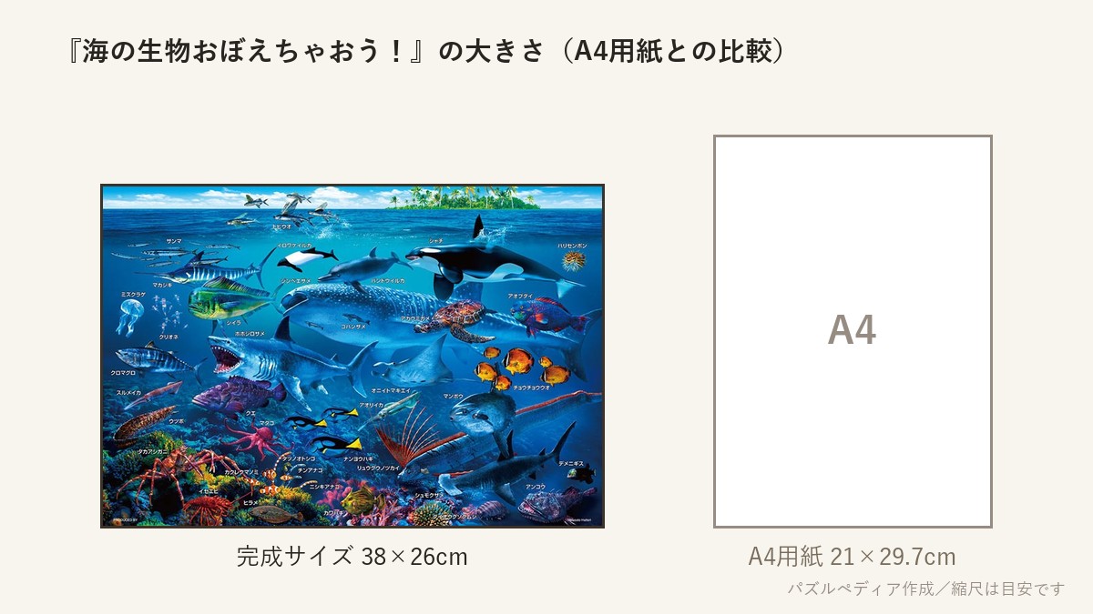 『海の生物おぼえちゃおう！』の完成サイズ（38×26cm）とA4用紙の大きさの比較図