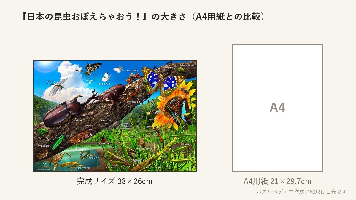 『日本の昆虫おぼえちゃおう!』の完成サイズ(38×26cm)とA4用紙の大きさの比較図