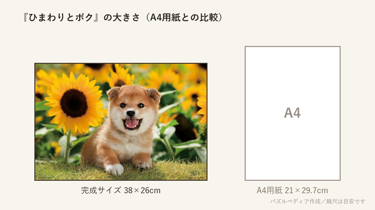 『ひまわりとボク』の完成サイズ(38×26cm)とA4用紙の大きさの比較図