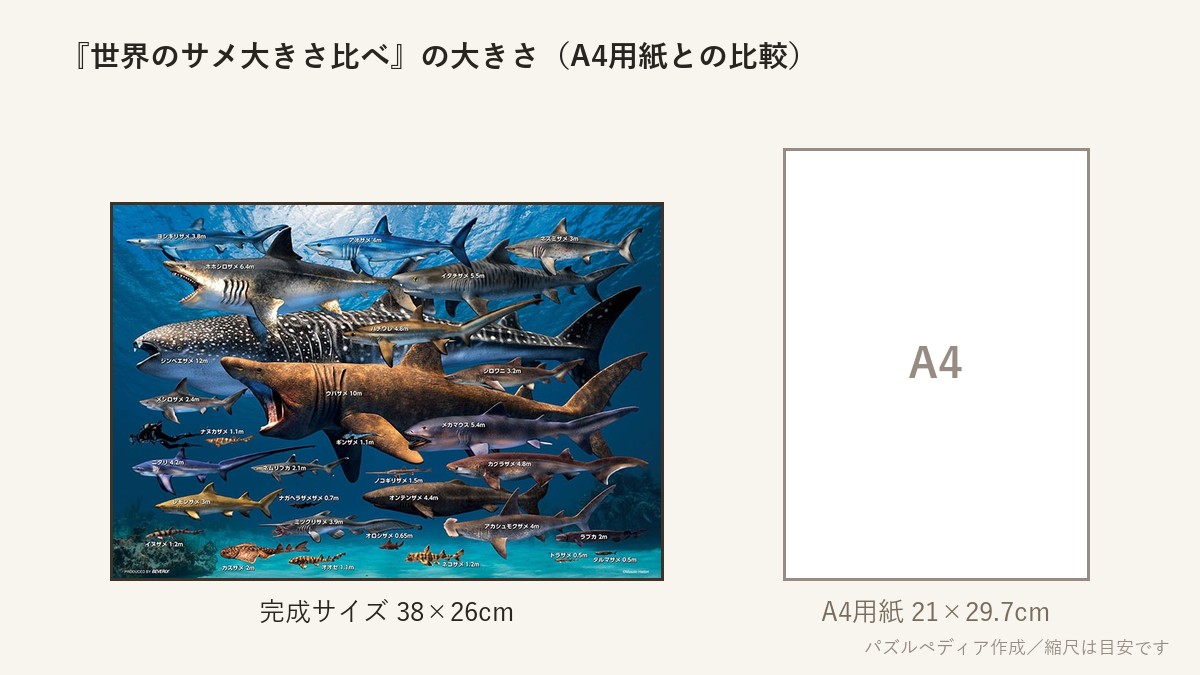 『世界のサメ大きさ比べ』の完成サイズ（38×26cm）とA4用紙の大きさの比較図