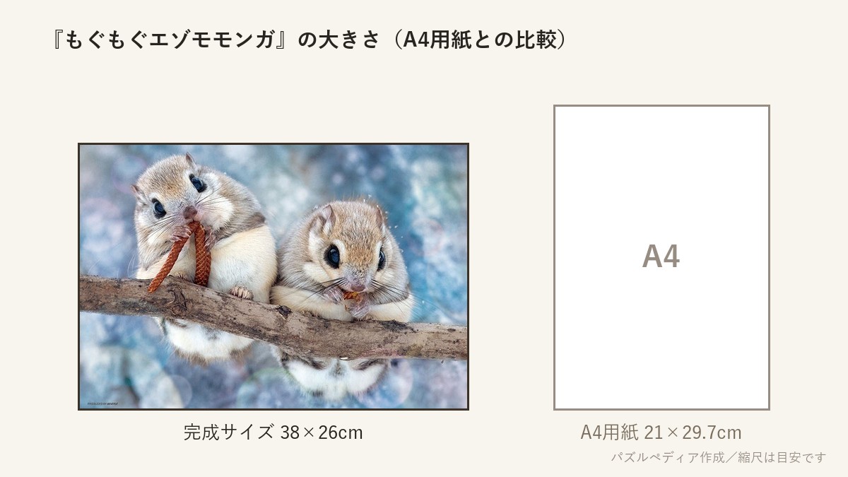『もぐもぐエゾモモンガ』の完成サイズ(38×26cm)とA4用紙の大きさの比較図