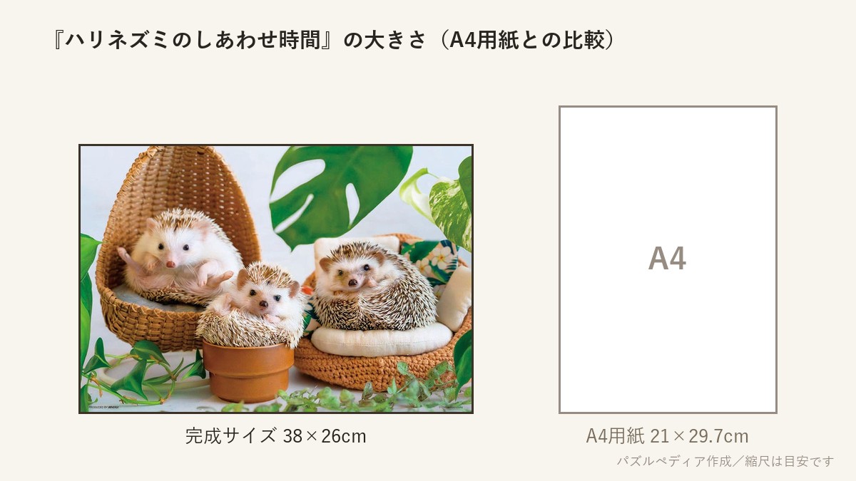 『ハリネズミのしあわせ時間』の完成サイズ(38×26cm)とA4用紙の大きさの比較図