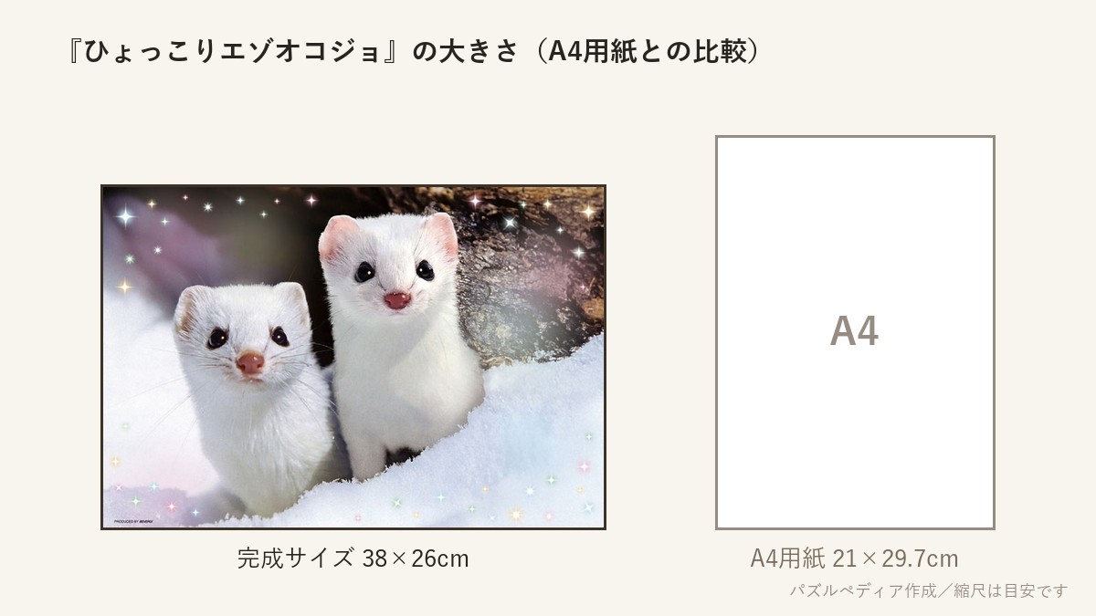 『ひょっこりエゾオコジョ』の完成サイズ(38×26cm)とA4用紙の大きさの比較図