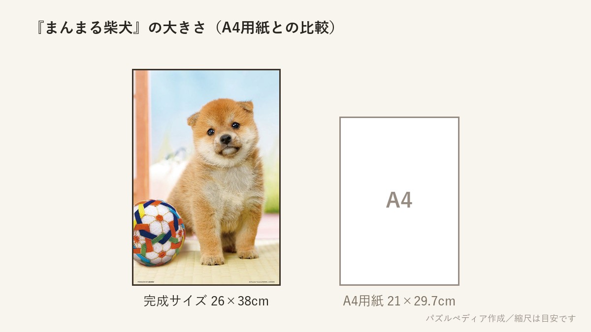 『まんまる柴犬』の完成サイズ(26×38cm)とA4用紙の大きさの比較図