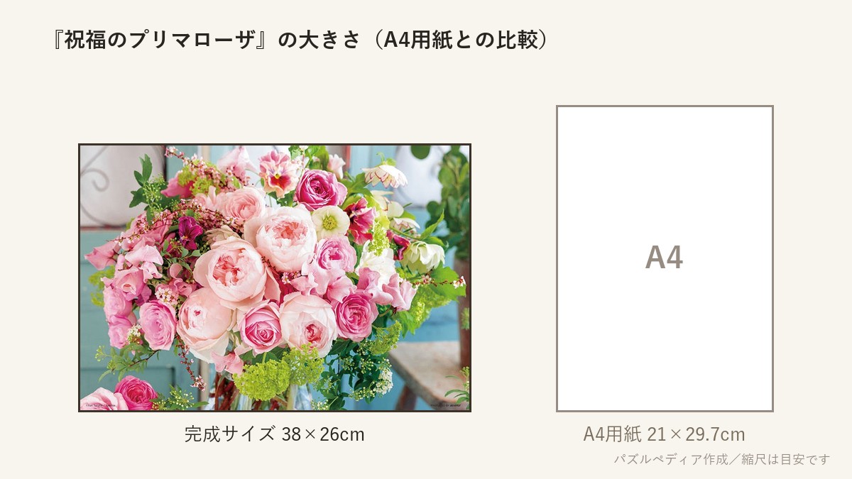 『祝福のプリマローザ』の完成サイズ(38×26cm)とA4用紙の大きさの比較図