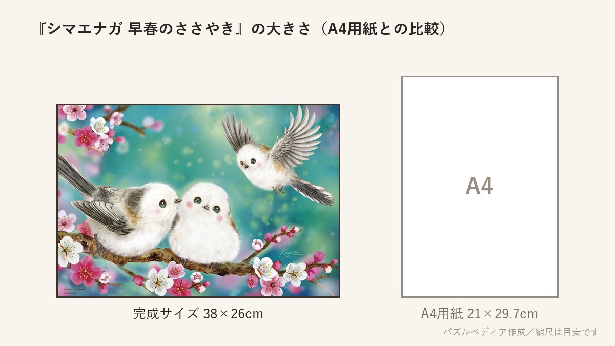 『シマエナガ 早春のささやき』の完成サイズ(38×26cm)とA4用紙の大きさの比較図