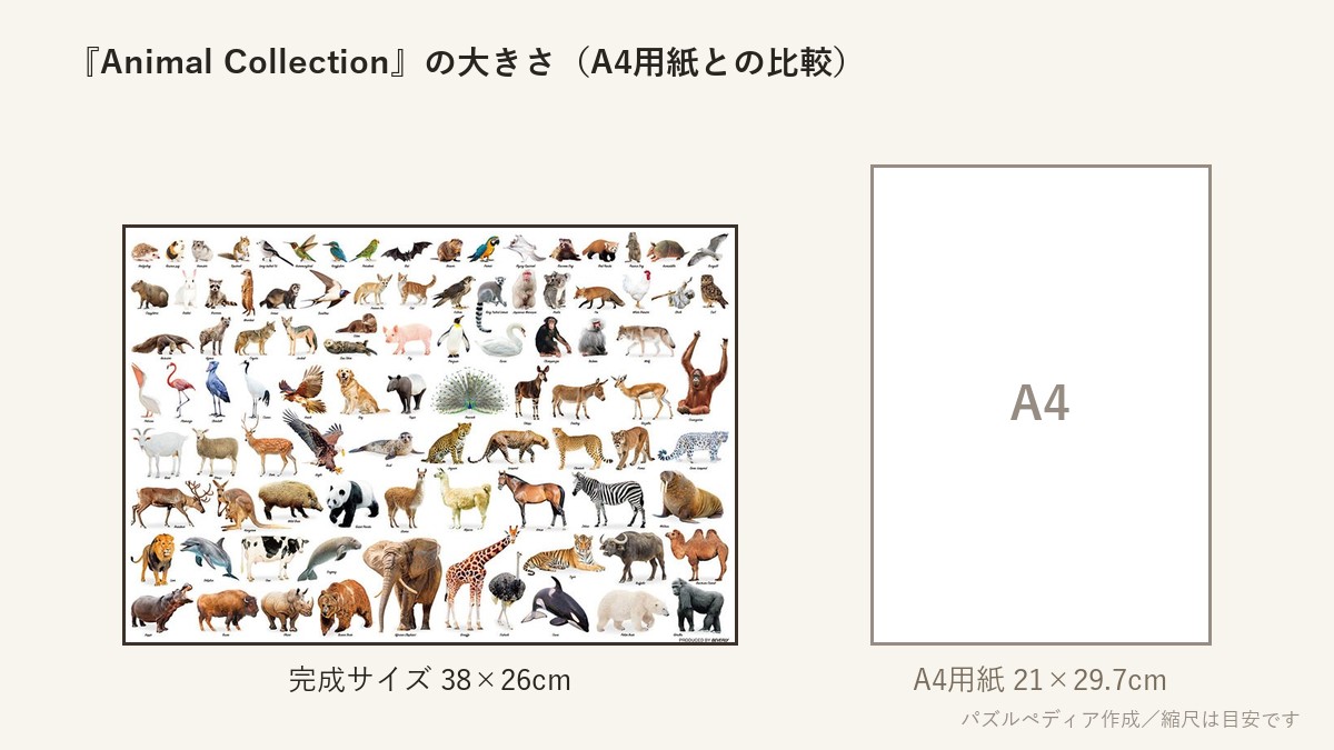 『Animal Collection』の完成サイズ(38×26cm)とA4用紙の大きさの比較図