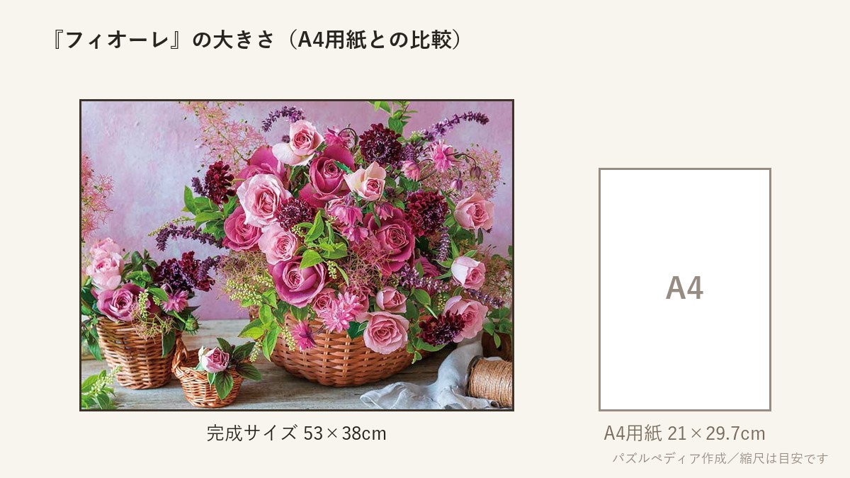 『フィオーレ』の完成サイズ(53×38cm)とA4用紙の大きさの比較図