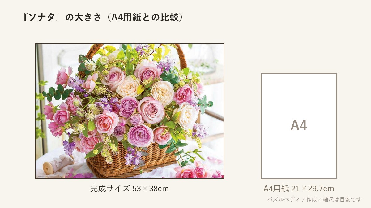 『ソナタ』の完成サイズ(53×38cm)とA4用紙の大きさの比較図