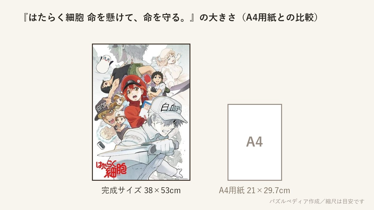 『はたらく細胞 命を懸けて、命を守る。』の完成サイズ（38×53cm）とA4用紙の大きさの比較図