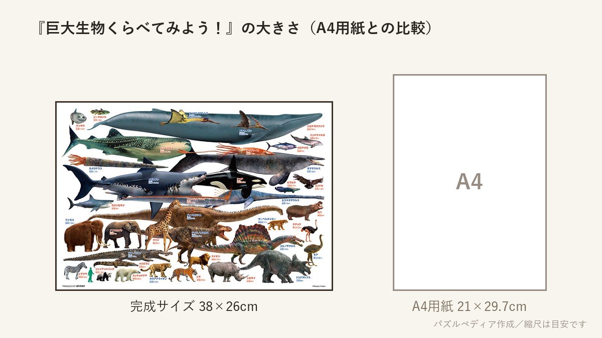 『巨大生物くらべてみよう!』の完成サイズ(38×26cm)とA4用紙の大きさの比較図