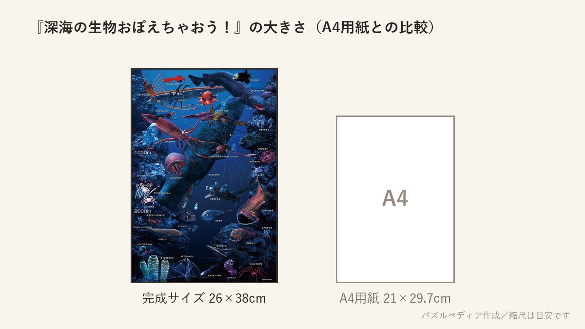 『深海の生物おぼえちゃおう!』の完成サイズ(26×38cm)とA4用紙の大きさの比較図