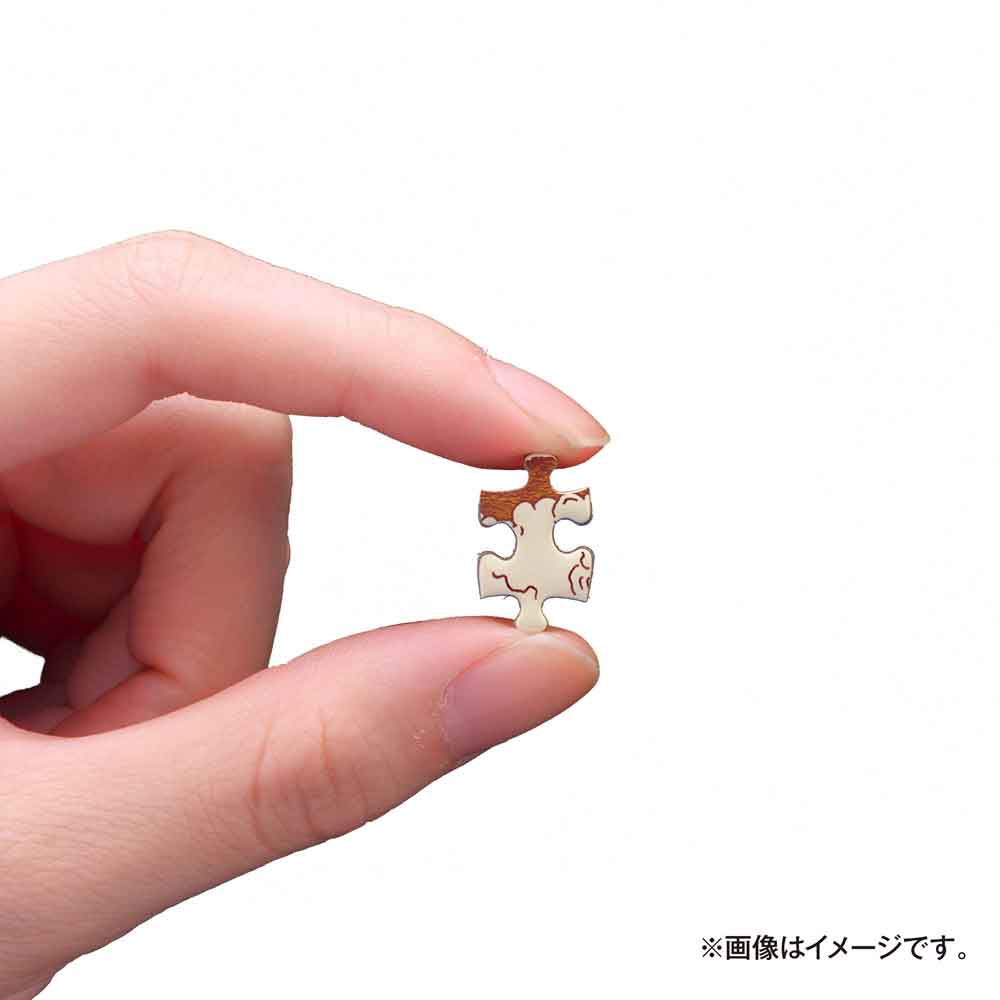ピースを指でつまみ、大きさがわかるようにしたイメージ
